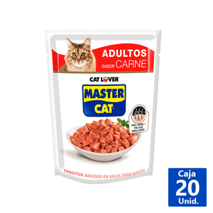 ALIMENTO HUMEDO GATO CARNE ASADA 85 G