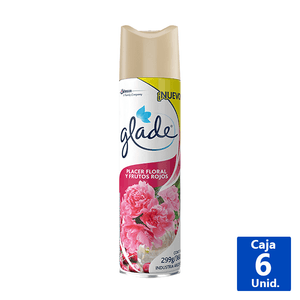 DESODORANTE AMBIENTAL FLORAL 360 CC