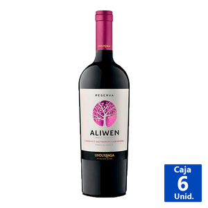 VINO CABERNET/SAUV UNDURRAGA 14° 750 ML