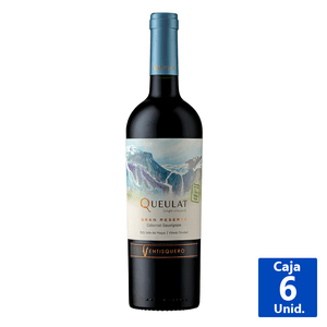 VINO CABERNET VENTISQUERO 13,5° 750 ML