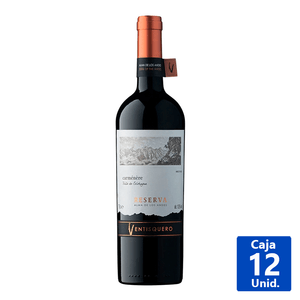 VINO CARMENERE RVA VENTISQ. 13,5° 750 ML