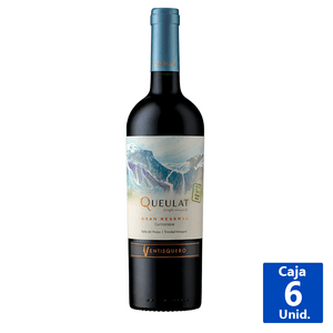 VINO QUEULAT CARMENERE 13,5° 750 ML
