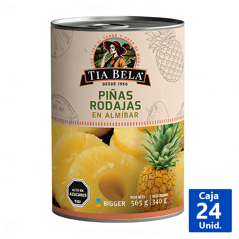 PIÑAS RODAJAS EN ALMÍBAR 565 G - Dimak Online